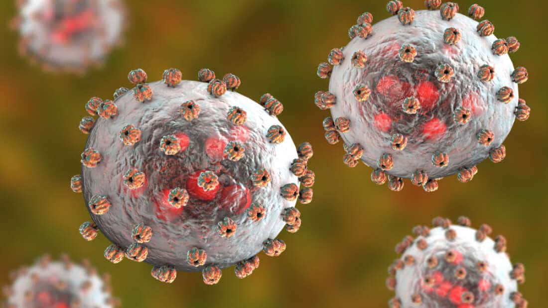 Chapare Virus In Bolivia