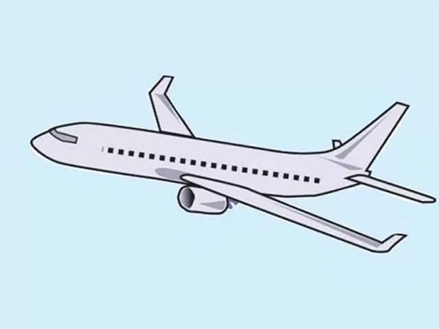 Passenger dies in mid-air, flight returns to Delhi three hours later