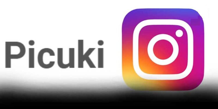Picuki Best Instagram Editor and viewer without login