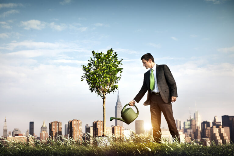 Development Finance