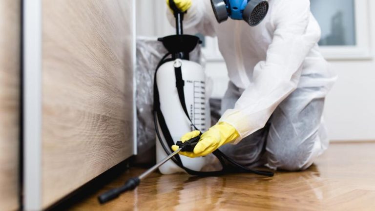 Hiring pest control for the first time? Don’t miss these details