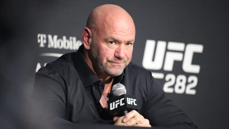 Owner of UFC?