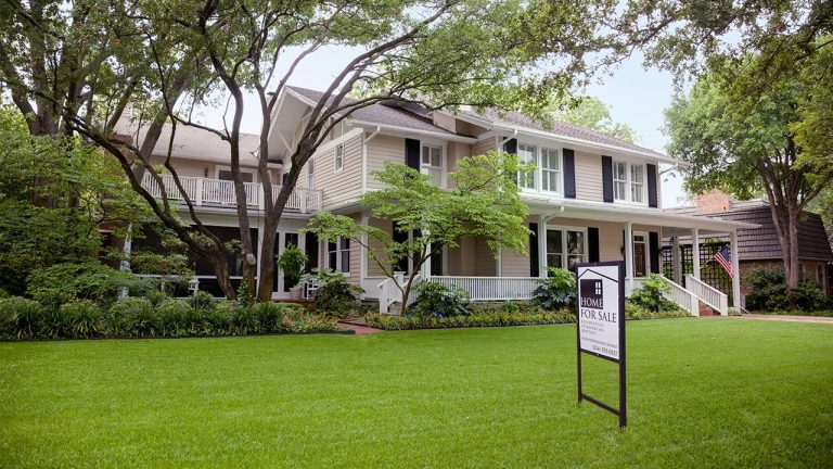 Real Estate Agent